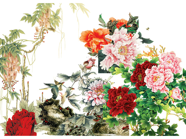 國(guó)色天香，優(yōu)雅綻放 解析《牡丹花》PNG免摳圖素材的藝術(shù)價(jià)值與應(yīng)用場(chǎng)景