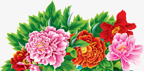 牡丹花開(kāi)富貴圖 免費(fèi)高清PNG素材，點(diǎn)綴你的創(chuàng)意設(shè)計(jì)
